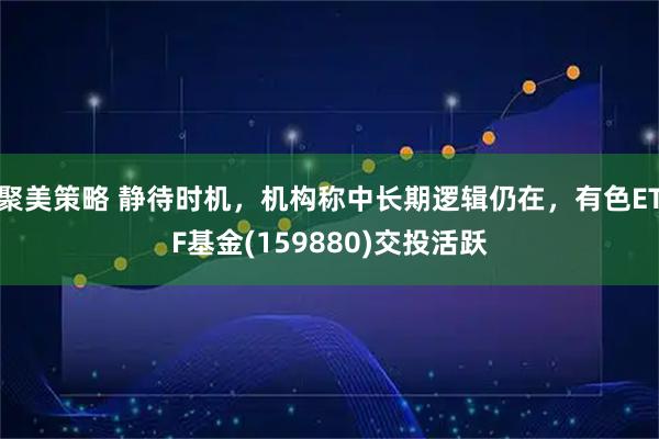 聚美策略 静待时机，机构称中长期逻辑仍在，有色ETF基金(159880)交投活跃