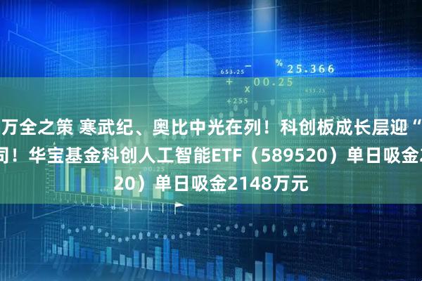 万全之策 寒武纪、奥比中光在列！科创板成长层迎“退层”公司！华宝基金科创人工智能ETF（589520）单日吸金2148万元
