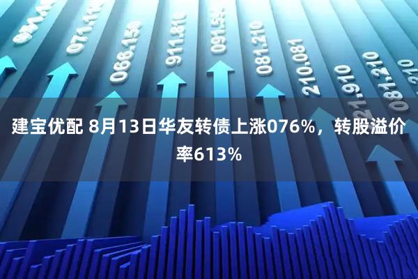 建宝优配 8月13日华友转债上涨076%，转股溢价率613%